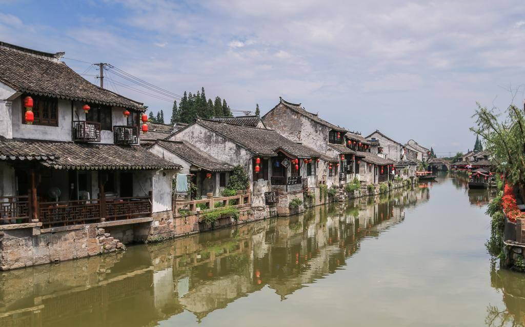 大金狮逃生